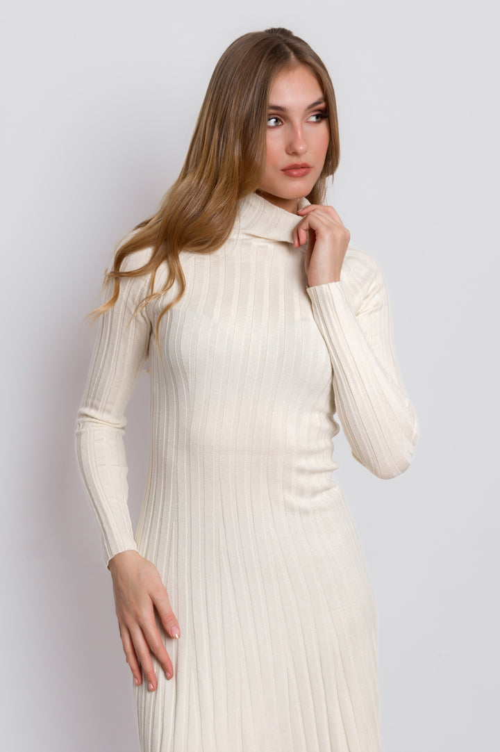 Ribbed Turtleneck Dress