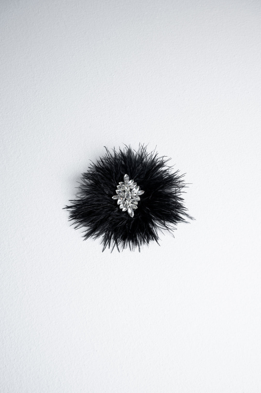 Feathers Brooch